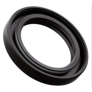 Oil Seal